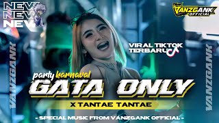 Download lagu DJ GATA ONLY X TANTAE VIRAL TIKTOK TERBARU 2025 STYLE KARNAVAL ll VANZGANK  mp3