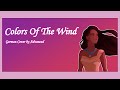 Colors Of The Wind Pocahontas German Cover