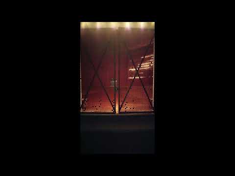 Thiefinger - Celestial Mentor