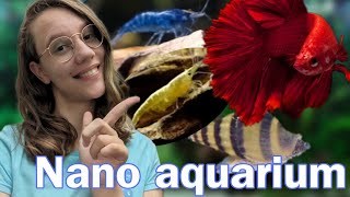 Welke VISSEN kunnen in NANO/KLEINE aquaria? //Nickey//