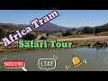 Africa Tram Safari Tour Tour Safari