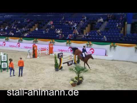 Cascadello Youngster S*  Kiel 2016