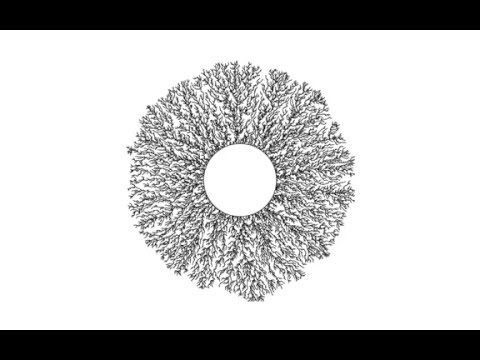 Hastings Levitov model, HL(1)