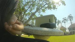 Try-to-FPV 10 - try to replicate Velocidrone "training" - iFlight DC2