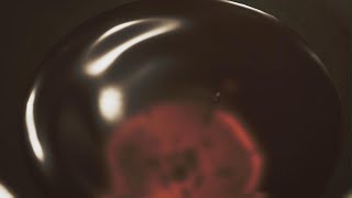 MHワイルズ_茶柱