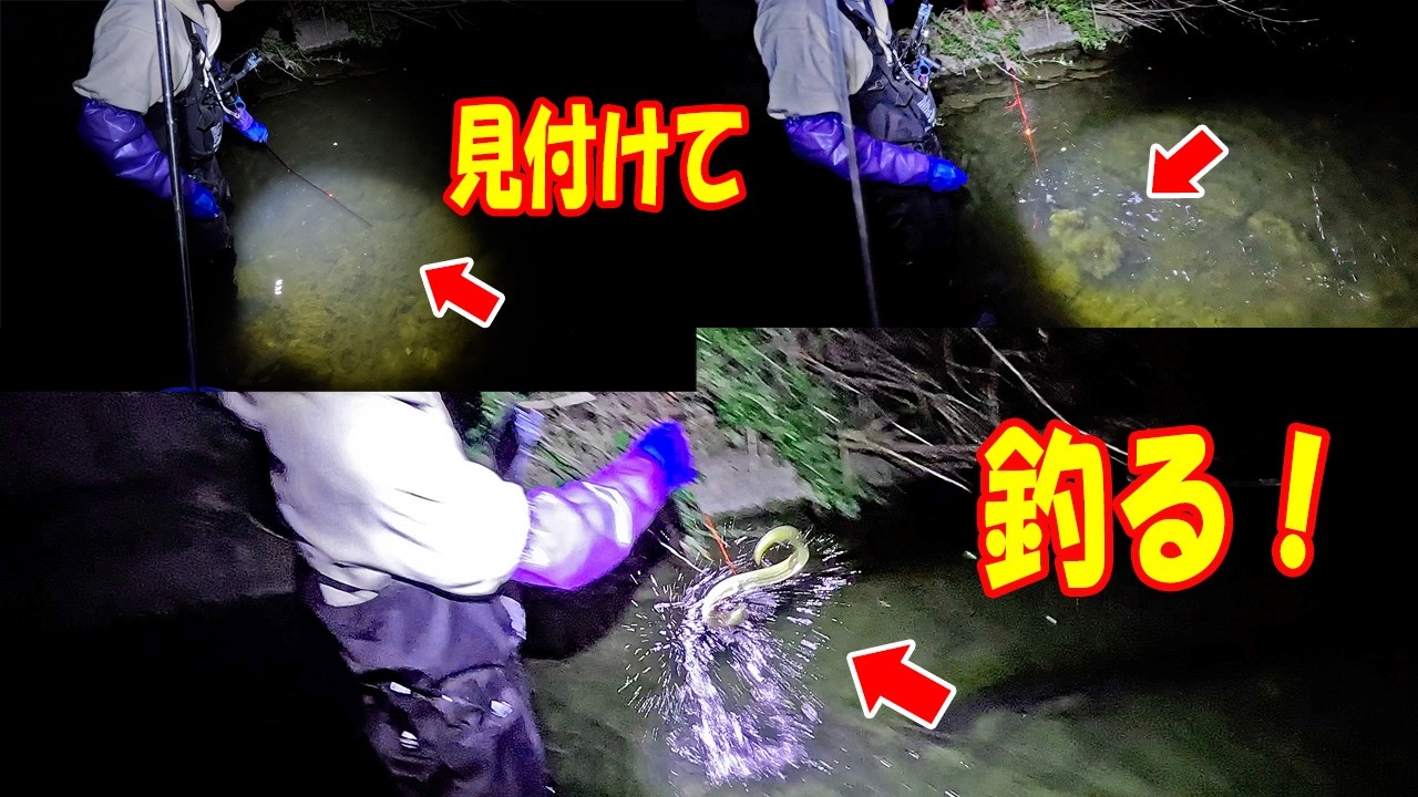 うなぎがウヨウヨいたので引っ掛けてみた！【見釣り！】