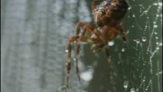 Moonsorrow-Jotunheim-part1