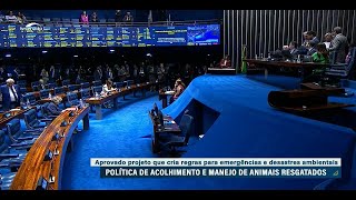 Senado aprova política para resgate de animais em desastres