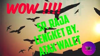 Download lagu HEBOH!!!! VIRAL!!! Sp. Raja lengket By. Atax Walet - WALET FENOMENAL mp3