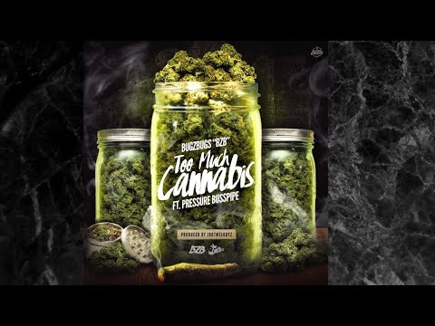 Pressure Busspipe ft BugZBugs - "Too Much Cannabis" (Prod. by Islandboybeats)