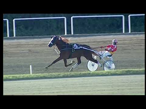 Napoli Trotto 24/09/2021 - 5ª corsa