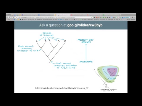 Biology Honors Semester 1 Final Exam Review Session #2