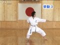 Heian Nidan JKA Shotokan Karate KarateZine