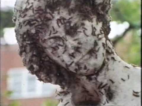 The Mayfair Set - Episode 3: Destroy the Technostructure (Part 1/6) [Adam Curtis Documentary]