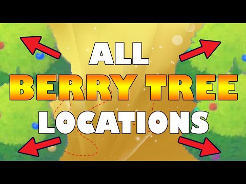 ALL BERRY TREE LOCATIONS and FARMING ROUTE in Pokemon Sword and Shield