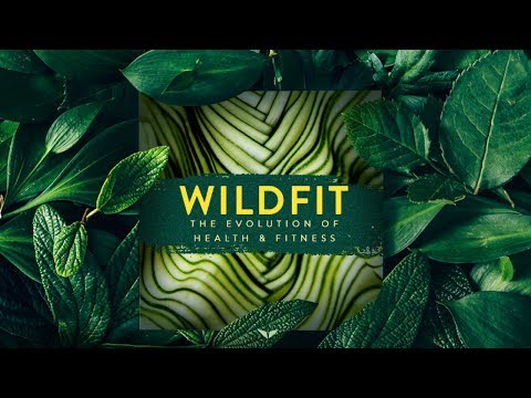 Wildfit by Eric Edmeades review: Is it worth it? My verdict (2020) Wildfit by Eric Edmeades review: Is it worth it? My verdict (2020)
