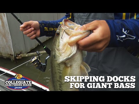 Skipping Docks for GIANT Largemouth Bass
