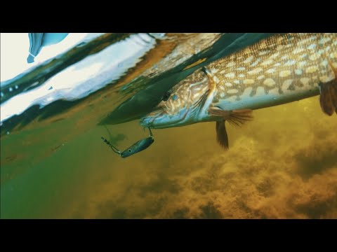 Pike fishing Svalemåla