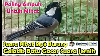 Download lagu SUARA PIKAT MP3 BURUNG GELATIK BATU GACOR SUARA JERNIH DIJAMIN PALING AMPUH mp3