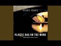 Plastic Bag On The Wind