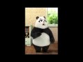 Panda freak out