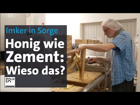 Imker klagen über Honig wie Zement – woran liegt's? | Abendschau | BR24