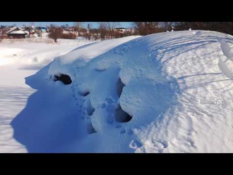 Мне нужен совет по зарыблению пруда!