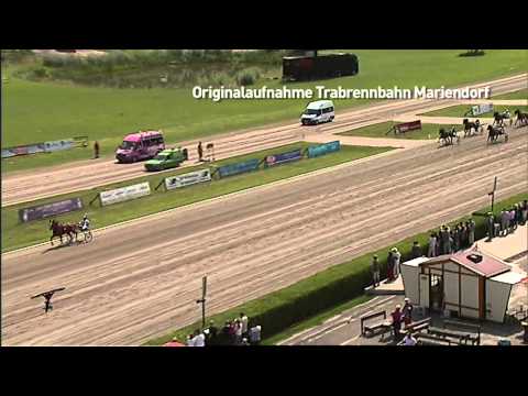 120. Deutsches Traberderby Trabrennbahn Mariendorf - Tag 1