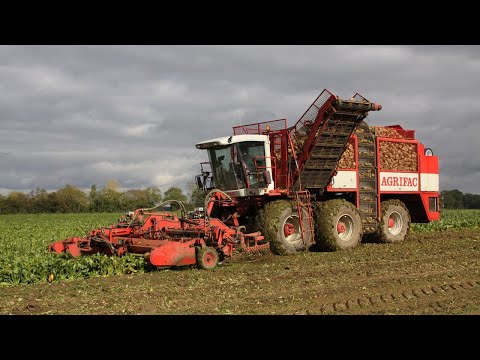 2003 Agrifac WKM Hexa 12 beet harvester | Mammoth 12-row | Beet Harvesters in Britain DVD
