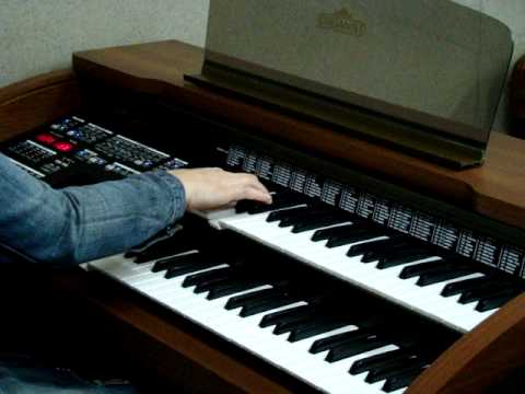 Compreseuorgao - Loja Especializada em órgãos eletrônicos. Organist YX 400 c/140 sons.