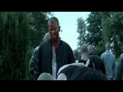 Kabát - Matky & zavity