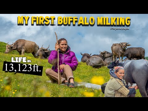 UNBELIEVABLE LIFE AT 4,000M. DHUKA BUKI | DHORPATAN