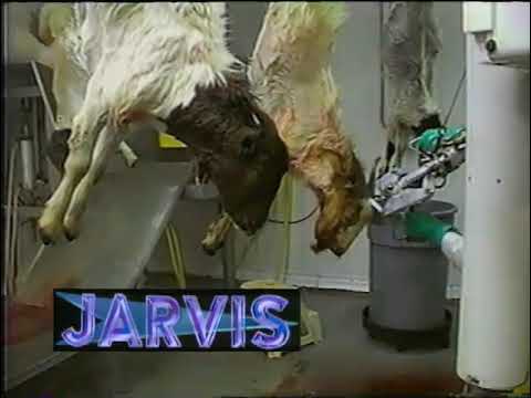 30CL-3 Sheep & Goat Horn Cutter