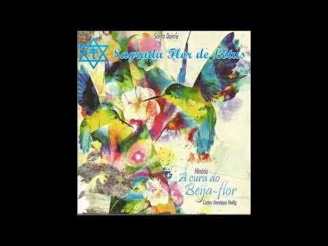Batalha Universal - Hinário A Cura do Beija Flor - 05
