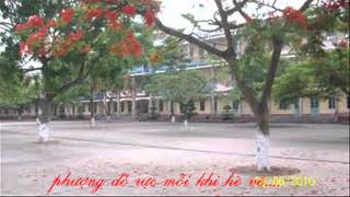 preview picture of video 'Trường THPT Giao Thủy B- Nam Định'