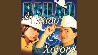 Download lagu Cowboy Do Asfalto mp3 Download lagu Cowboy Do Asfalto mp3