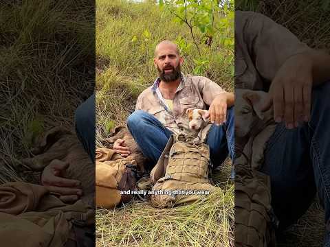 3 Reasons NOT to buy a MOLLE backpack 🤯