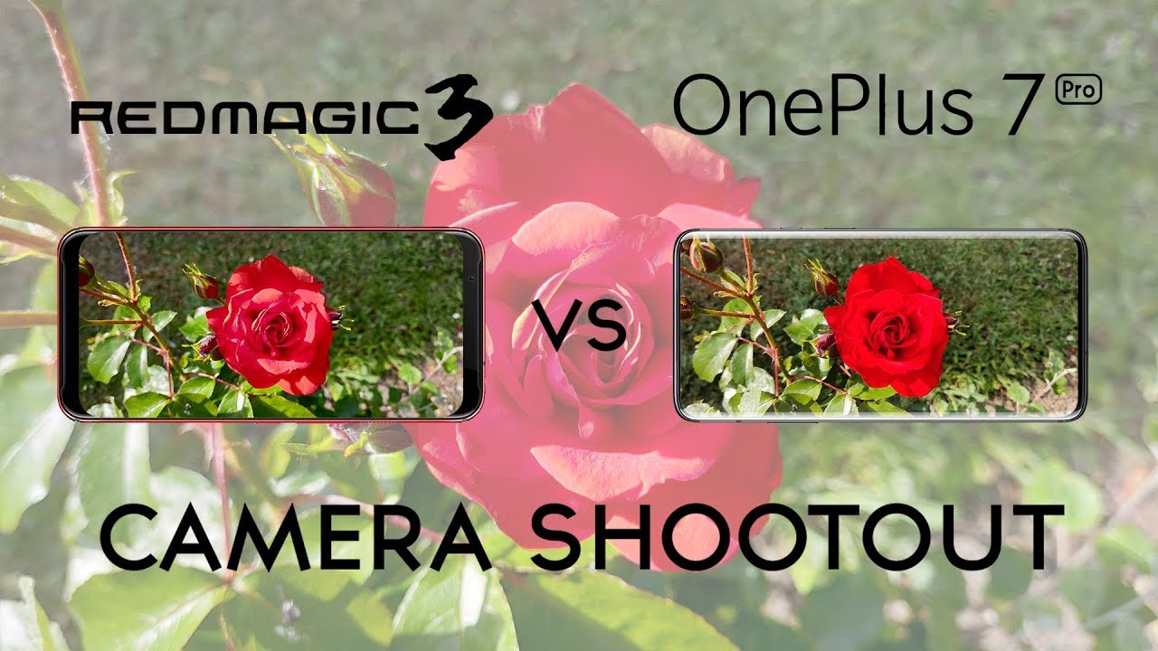 Red Magic 3 vs OnePlus 7 Pro: Camera Shootout