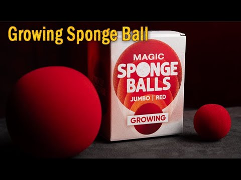 Voir la vidéo Growing Sponge Ball Red