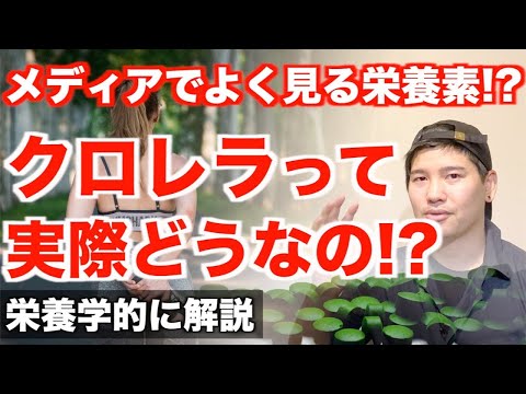 クロレラについて詳しく解説