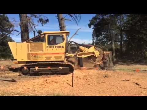 Rayco Tracked stump grinder
