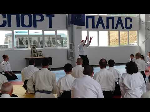 Seminar in Varna 15-17.06.2017 - Michele Quaranta - Video 1