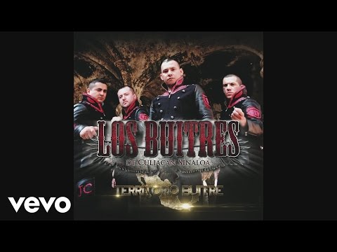 Los Buitres De Culiacán Sinaloa - Esa Mujer (Cover Audio Video)
