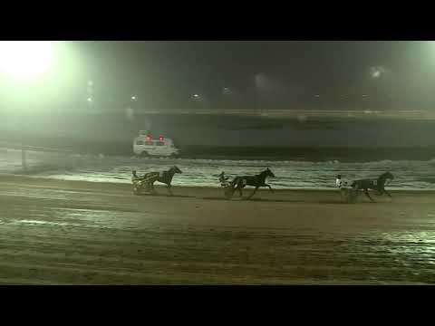 2019.12.07. 05. futam - KALIFA DÍJ