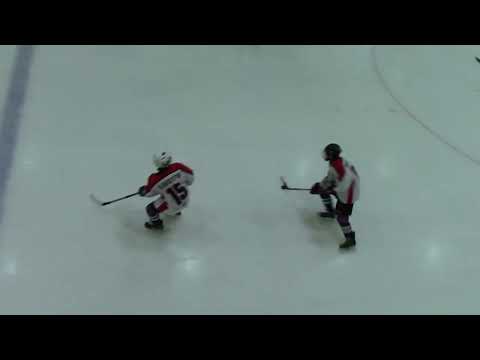 VIPERS 09 PUNANE 3 - 2  PSK 08