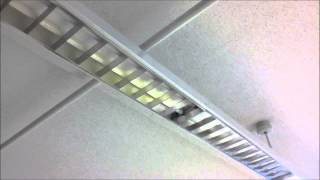 2 F32T8 Fluorescent Fixtures Burning Out in Class - AaronTheEagle1 Video