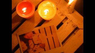 vietnam- Miniature Tigers