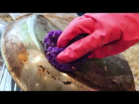 😳 Burnt Pan Nightmare: Top 4 Cleaning Methods Put to Ultimate Test!