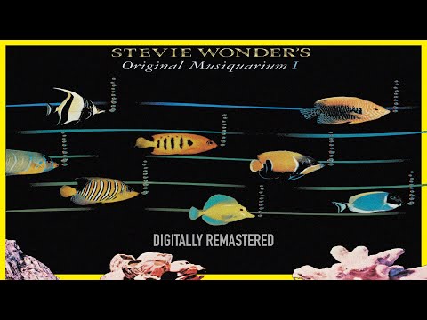 Stevie Wonder - Higher Ground (2000 Remastered)