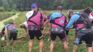 faze tari faza salvare cal